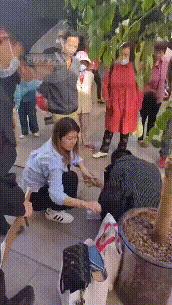 DƬ